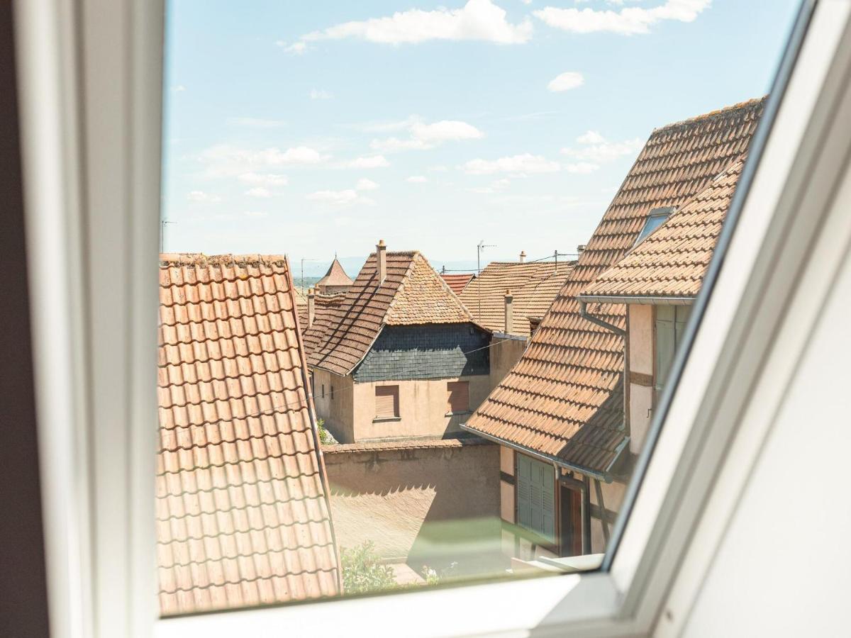 Charming Gite In Dambach La Ville With Terrace Exterior foto