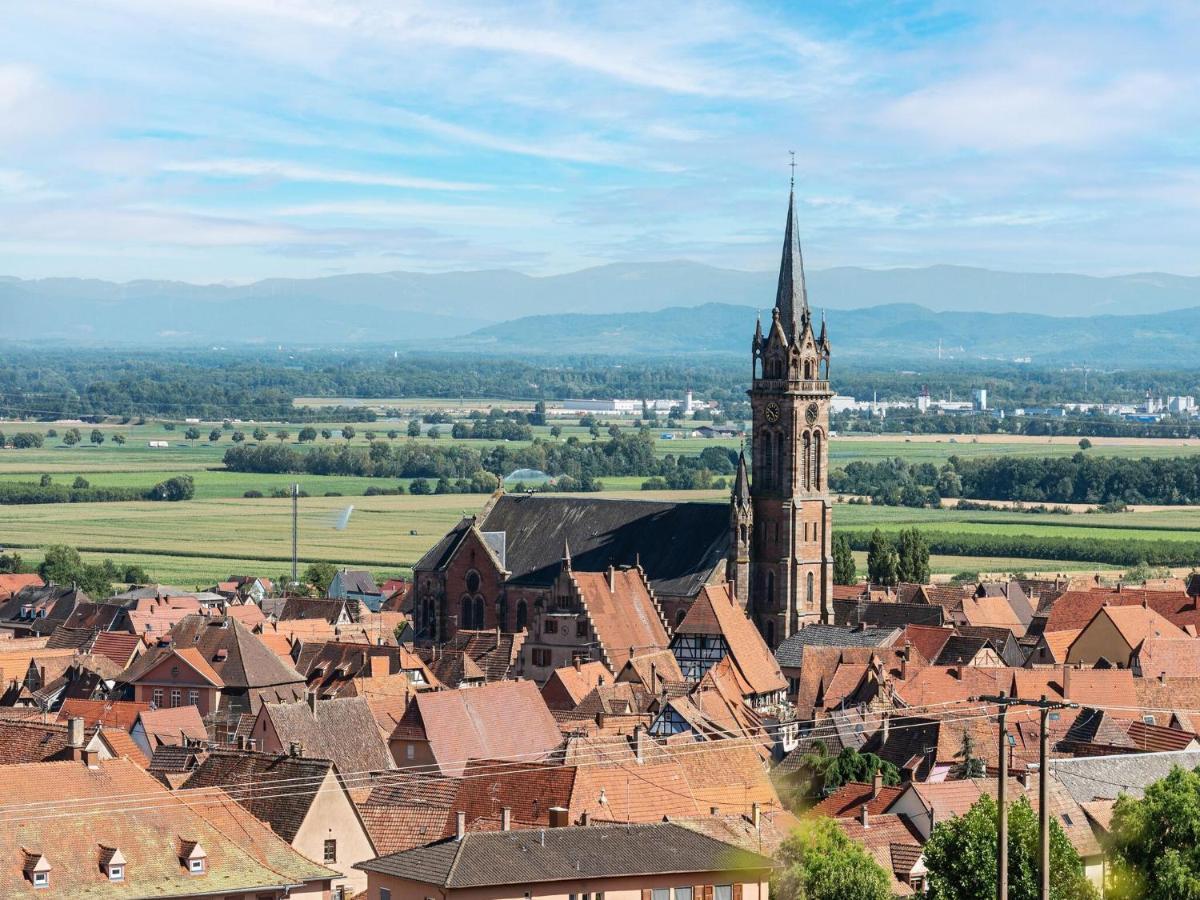 Charming Gite In Dambach La Ville With Terrace Exterior foto